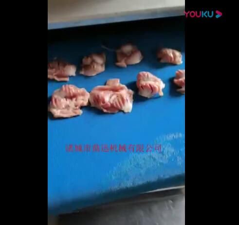 鸡胗鸭胗切花机