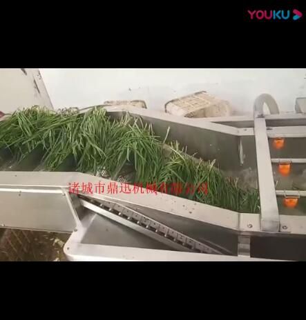 蔬菜清洗机